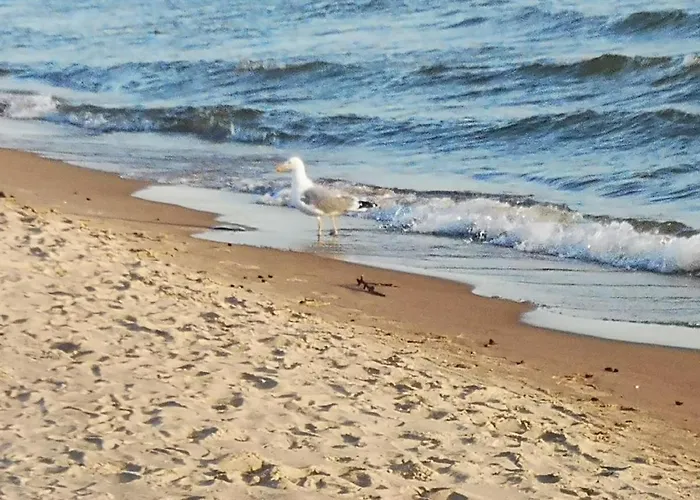 Privatus Namelis Juros G. 61 Holiday home